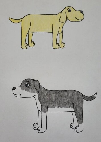 The puppies
