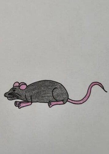The rats