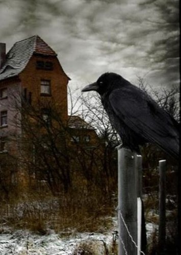 The Raven