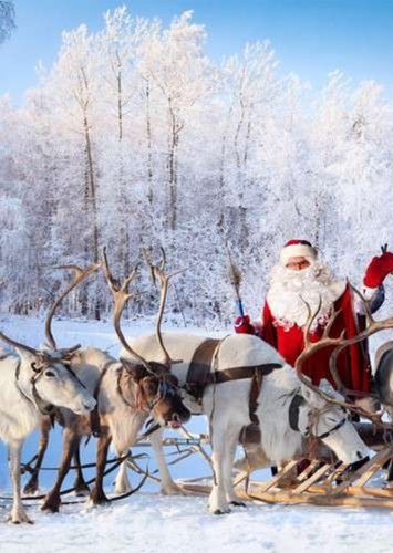 The Reindeers