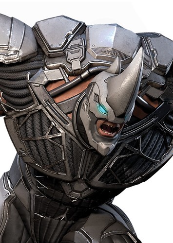 The Rhino