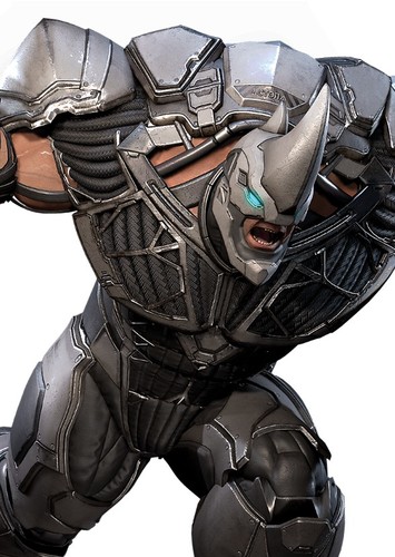 The Rhino