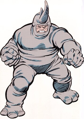 The Rhino