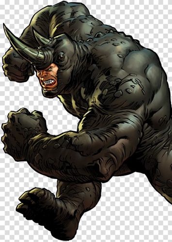 The Rhino