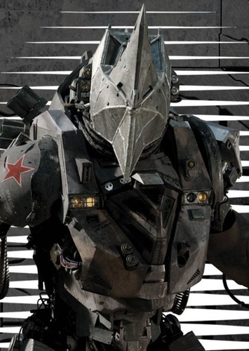 The Rhino