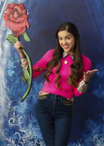 The Rose Song - Olivia Rodrigo