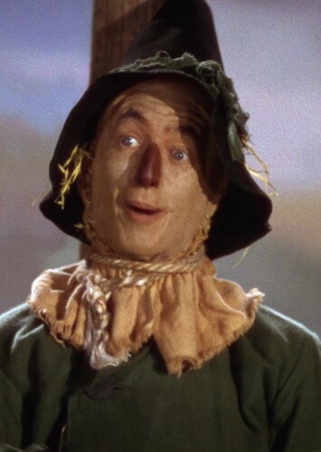 The Scarecrow (The Wizard of Oz)