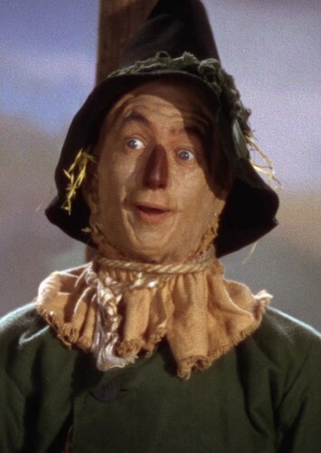 The Scarecrow (The Wizard of Oz)