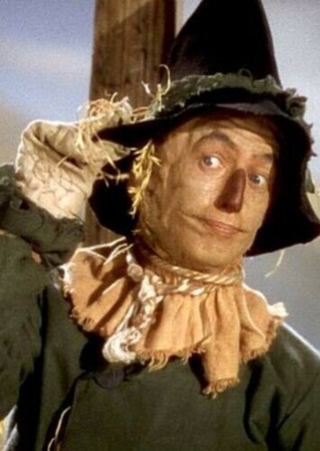 The Scarecrow (The Wizard of Oz)
