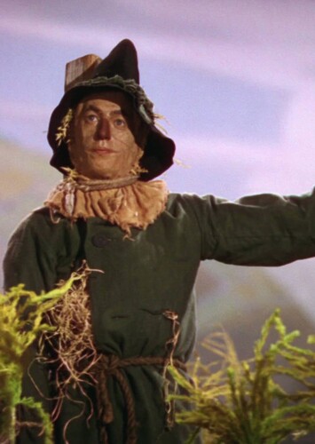 The Scarecrow (The Wizard of Oz)