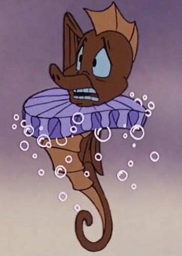 The Seahorse Herald