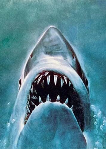 The Shark