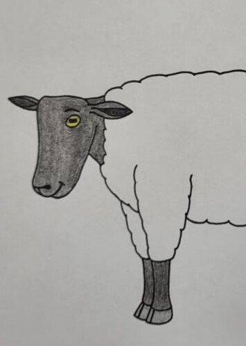 The sheep