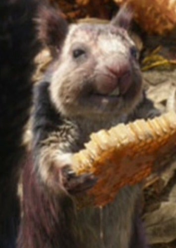 The squirrel