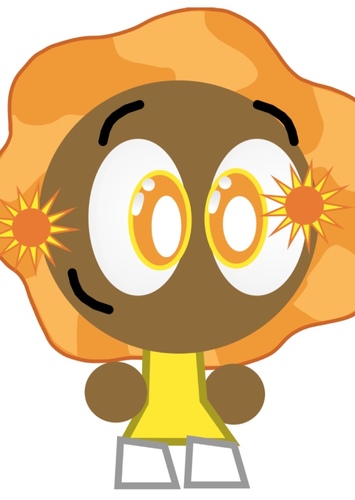 The Sun