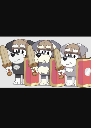 The Terriers