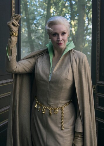 The Thirteenth Shalka Doctor