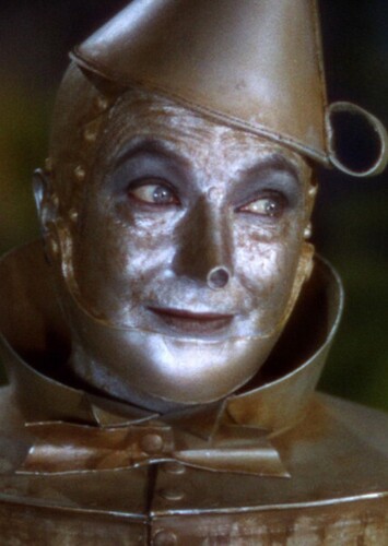 The Tin Man (The Wizard of Oz)