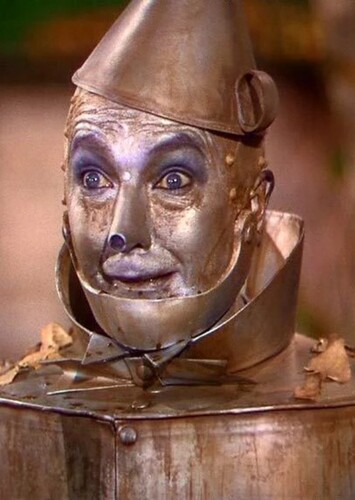 The Tinman