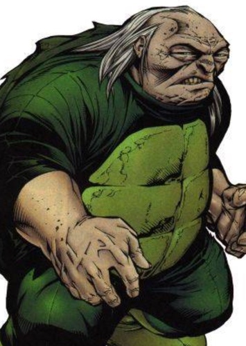 The Turtle