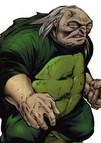 The Turtle