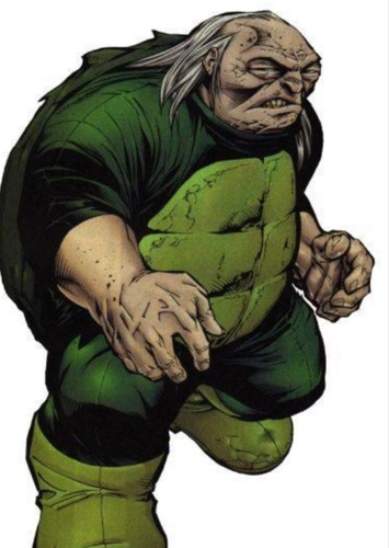 The Turtle