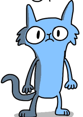 The Unhappy Cat