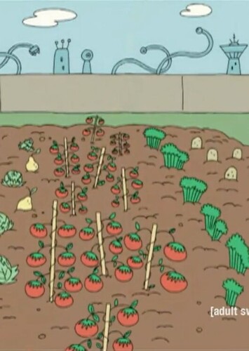 The Vegetable Garden