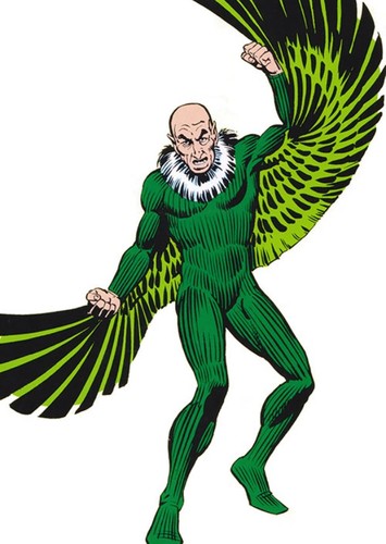 The vulture