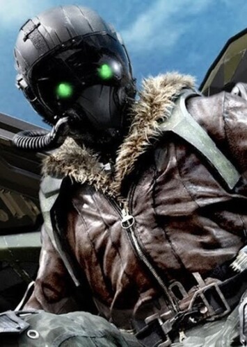 The Vulture