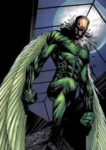 The Vulture