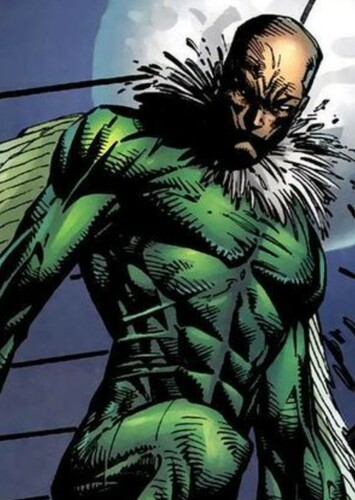 The Vulture