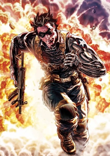 The Winter Soldier