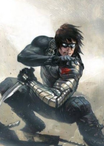 The Winter soldier