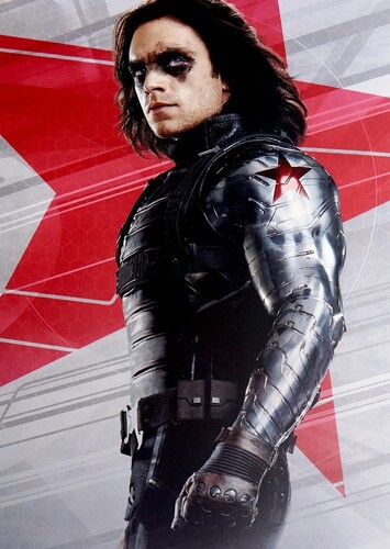 The Winter Soldier