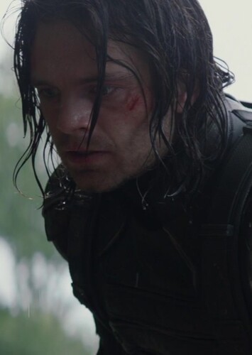 The Winter Soldier