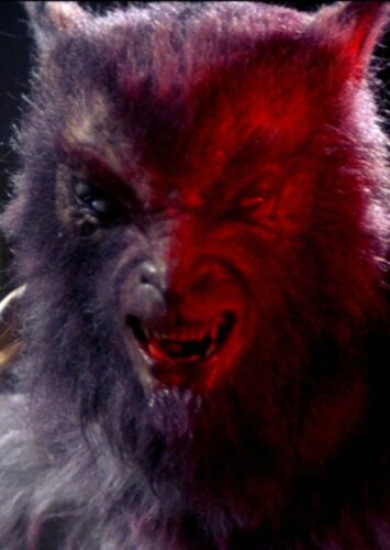 The Wolf Man