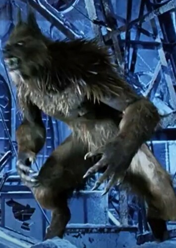 The Wolf Man
