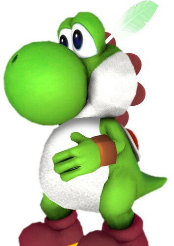 The Yoshi Chief