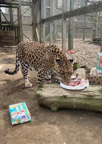 The Zoo in Forest Park