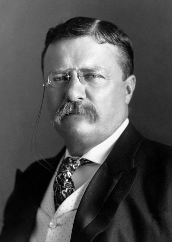 Theodore Roosevelt