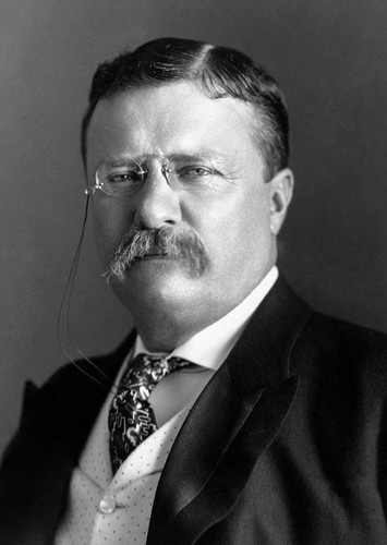 Theodore Roosevelt
