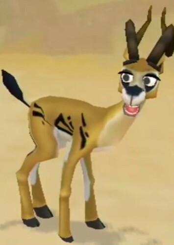 Thomson's Gazelle