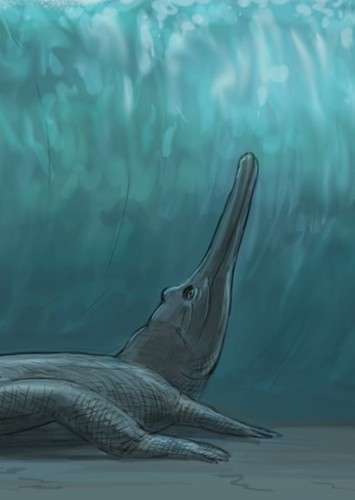 Thoracosaurus