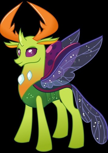 Thorax