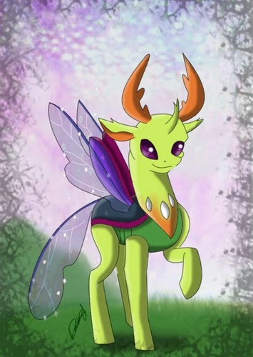 Thorax