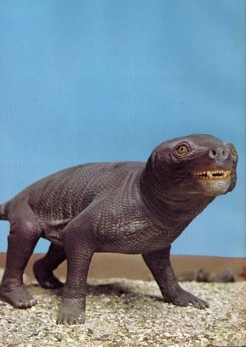 Thrinaxodon