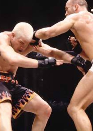 Throwing the Fight