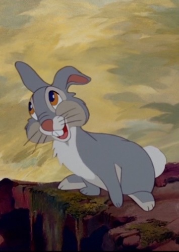 Thumper (Adult)