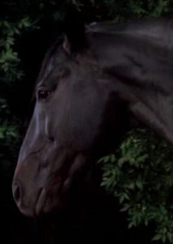 Thunderhead the Horse (Escape To Witch Mountain)
